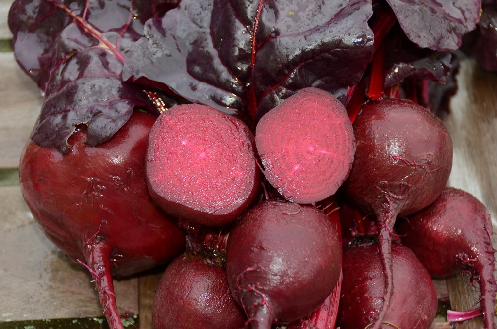 Vegetables for Fall Planting Bull's Blood Beet Harvesting History
