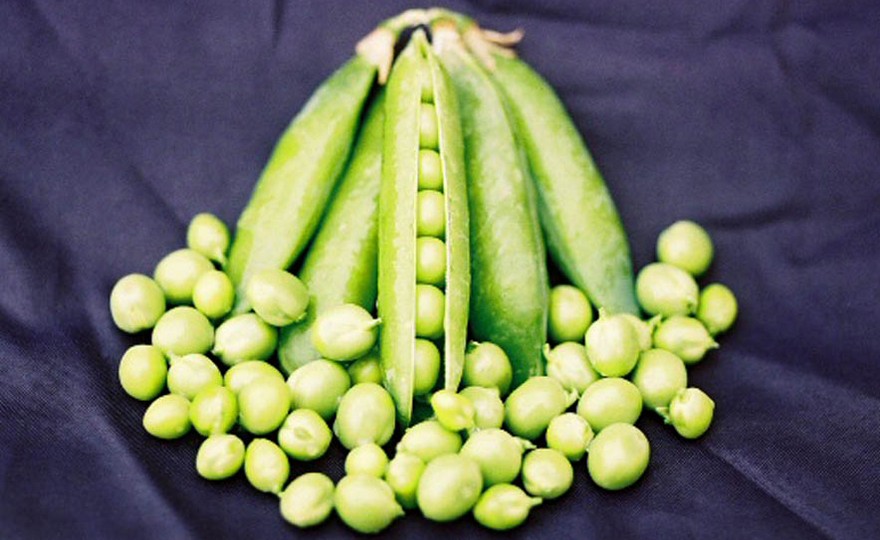 Shop English or Shelling Pea, Little Marvel and other