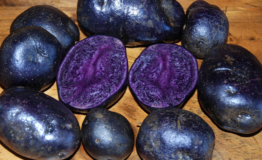 Purple Majesty potatoes 🥔 🟣 A vibrant twist on traditional spuds