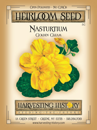 Shop Nasturtium, Golden Gleam and other Seeds at Harvesting History