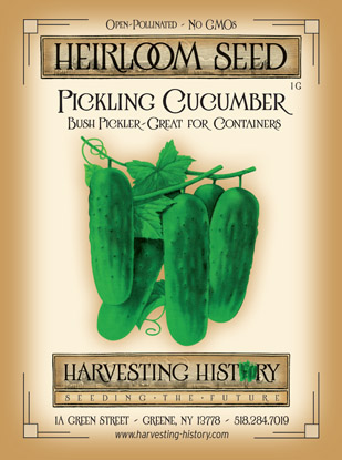 pickler bush cucumber pickling harvesting history