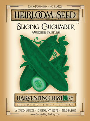 Muncher Cucumber Seeds for Planting 3 Packets