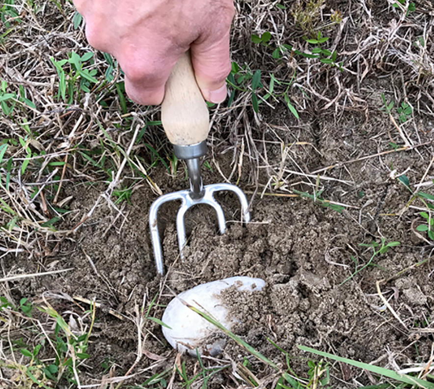 Use of on sale garden fork