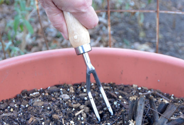 The Harvesting History Heirloom Weeding Fork